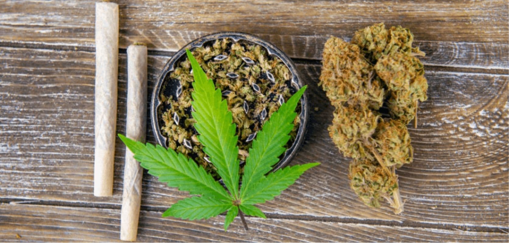 CBD Blüten online bestellen – Knospen, die dich nicht enttäuschen werden