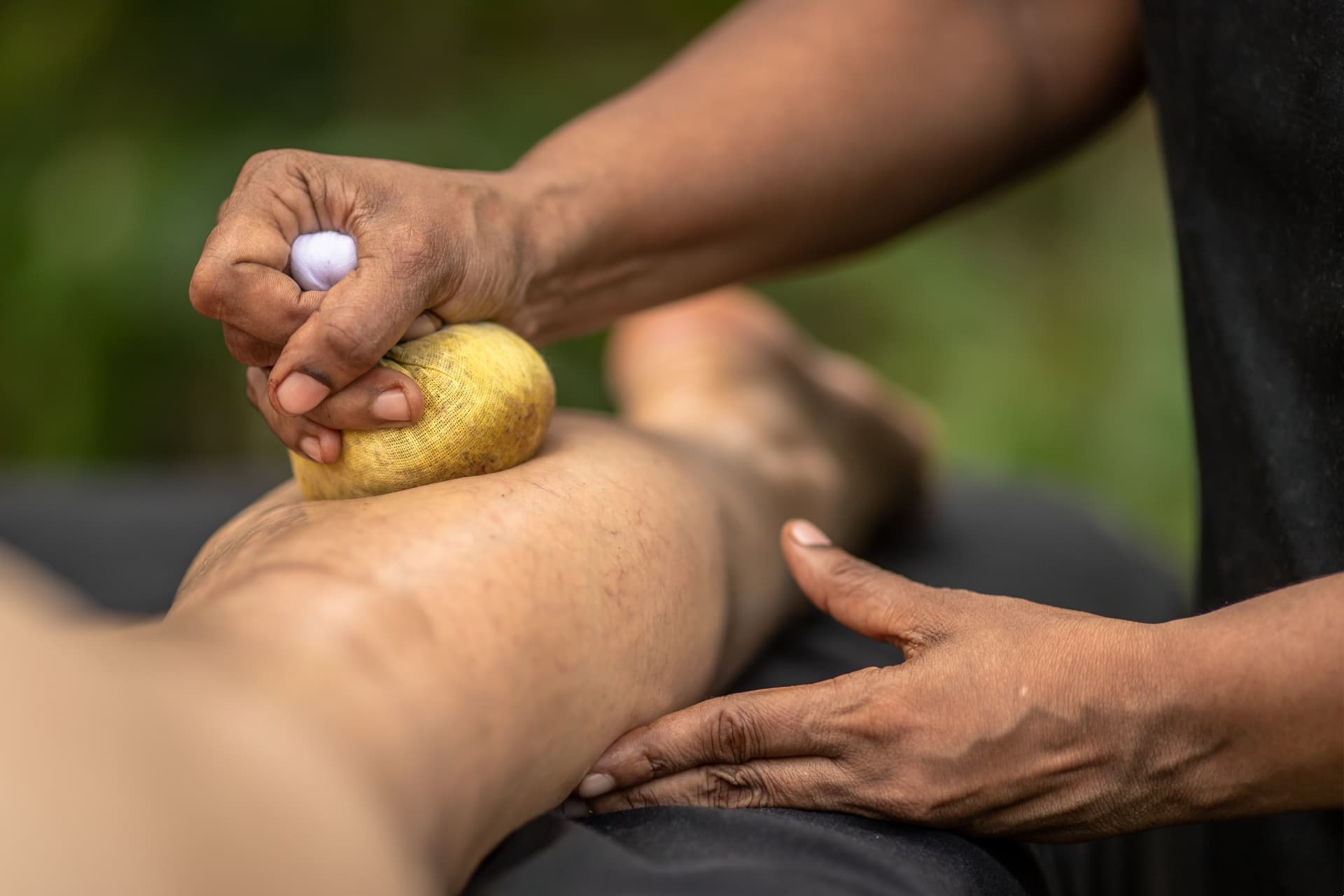 Kräuterheilkunde neu entdecken: Heilpflanzen für Ihre Gesundheit