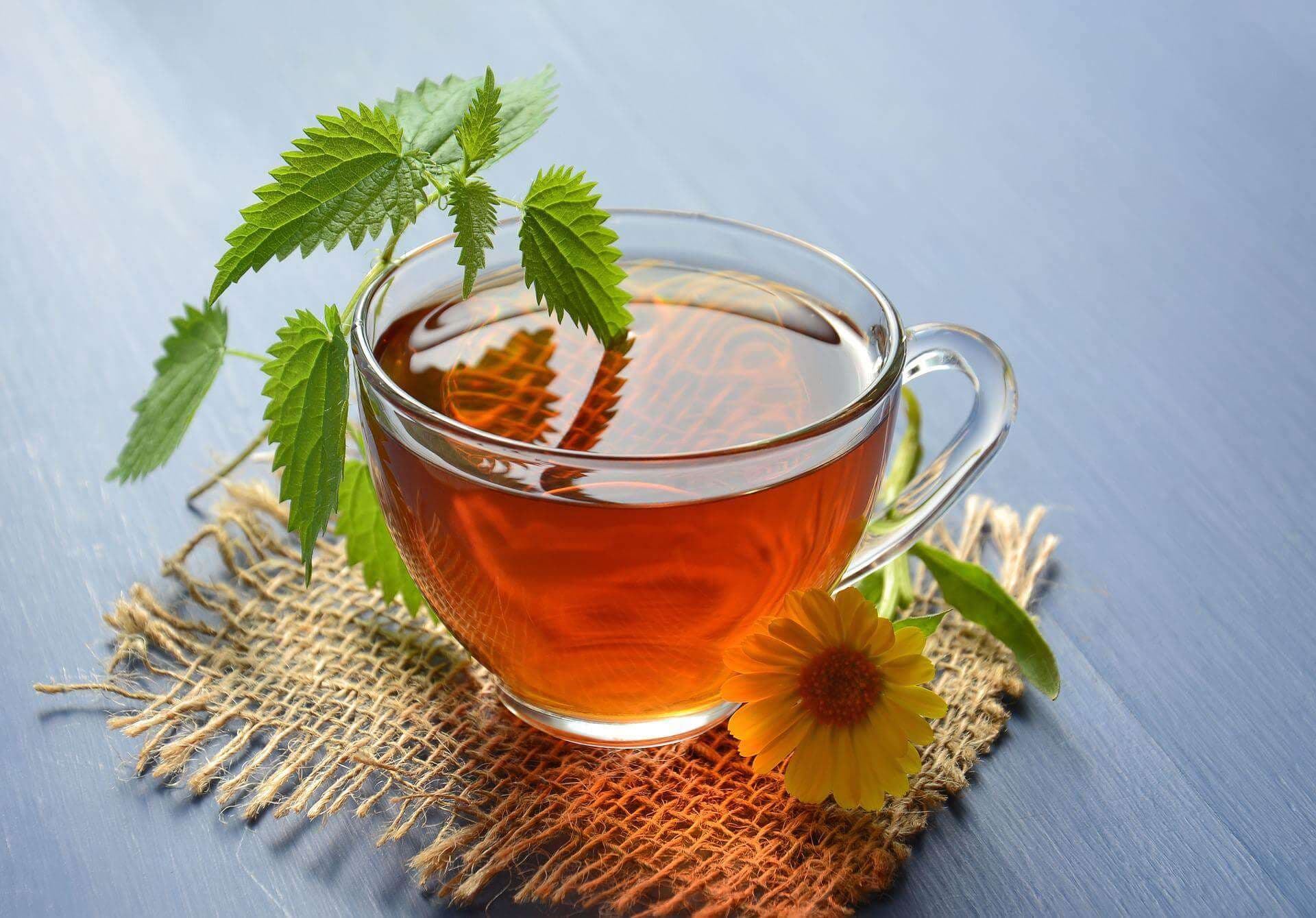 Freude schenken – Bio Kräutertee Geschenkset online kaufen für Teeliebhaber
