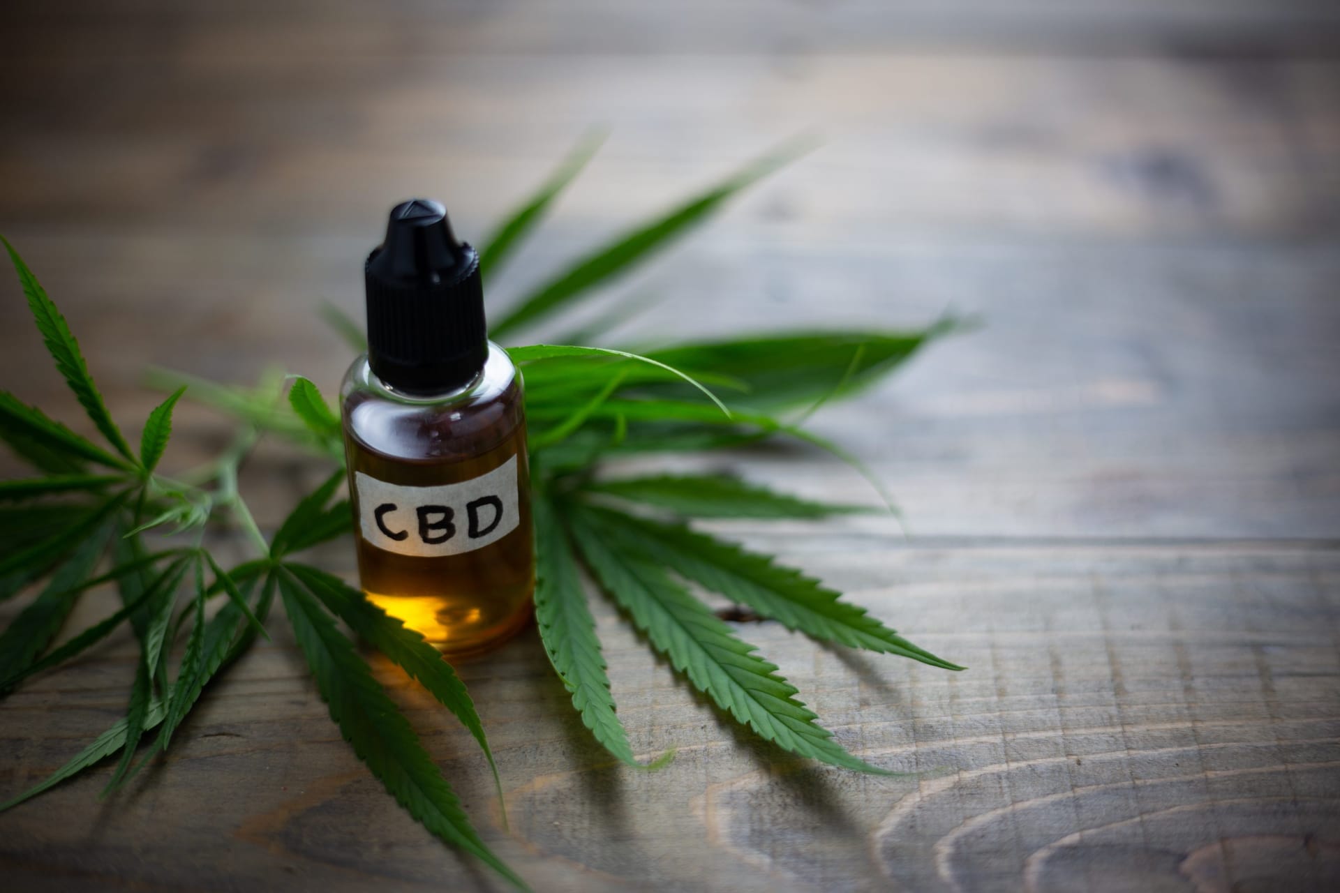 Die Herstellung von Cannabisöl zum Einreiben: Cbdladen zeigt, wie es richtig geht
