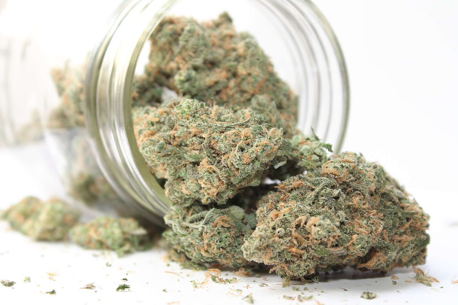 Seedbank-Vielfalt genießen – Weed Samen kaufen mit großer Auswahl